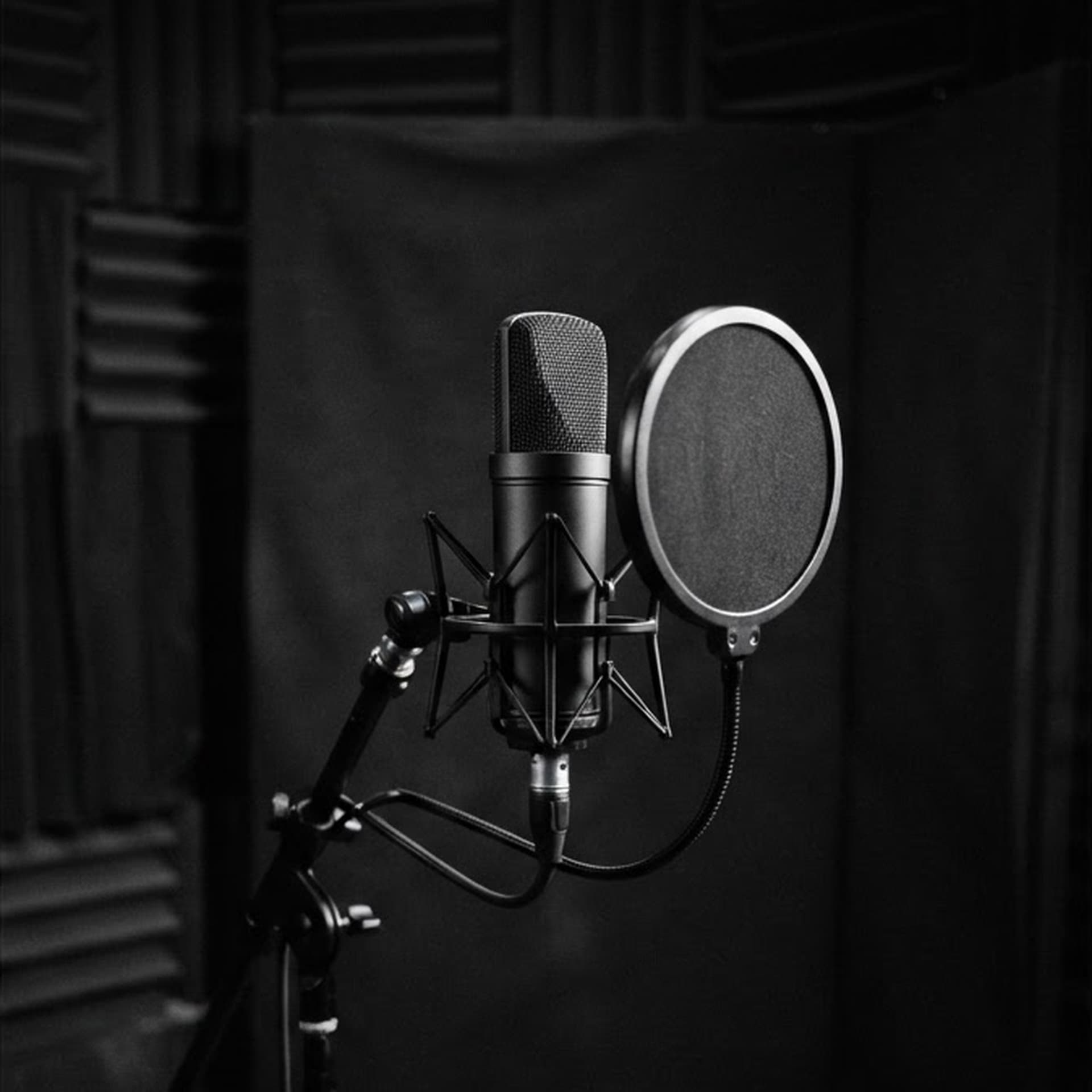 Vocal recording position with a large-diaphragm microphone on a stand